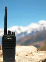 TX60-2.webp